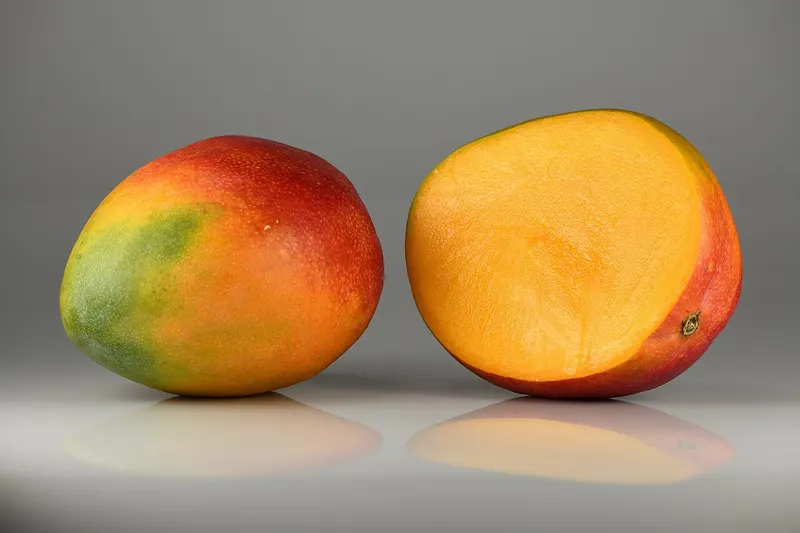 Indian mango extract